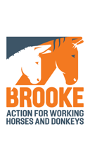 Brooke logo 480 x 270