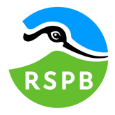 RSPB_logo_2022.svg.png